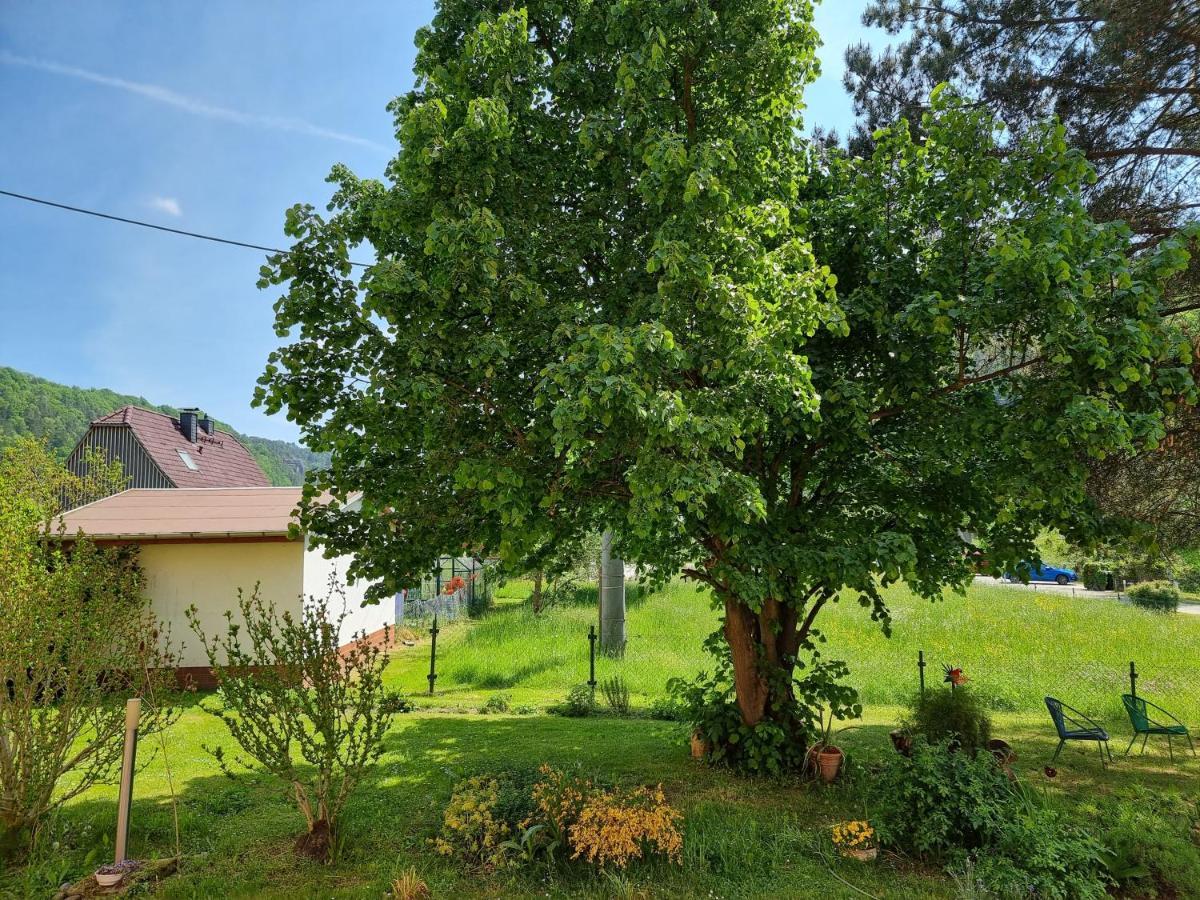 Ferienappartements Elbaussicht - Krippen Bad Schandau Exterior photo